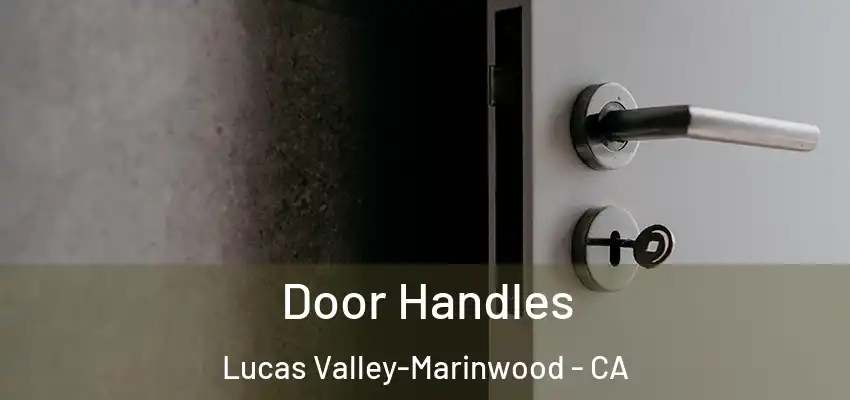 Door Handles Lucas Valley-Marinwood - CA