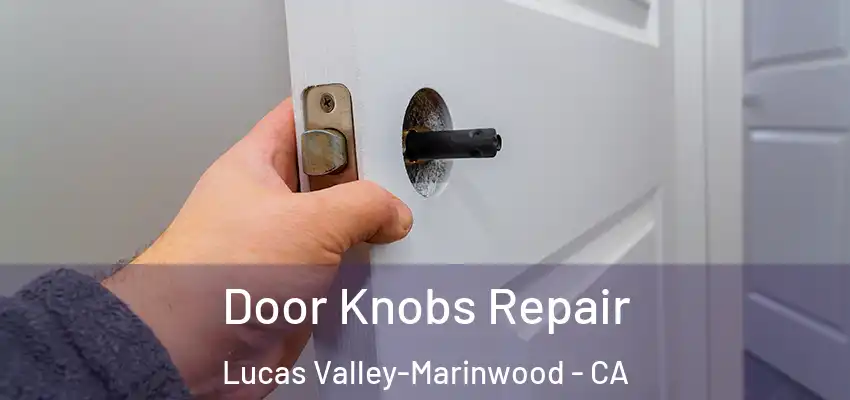  Door Knobs Repair Lucas Valley-Marinwood - CA