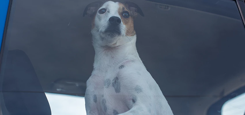 Car Lockout Solutions in Lucas Valley-Marinwood, California