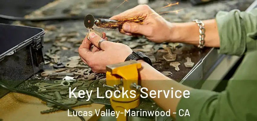  Key Locks Service Lucas Valley-Marinwood - CA